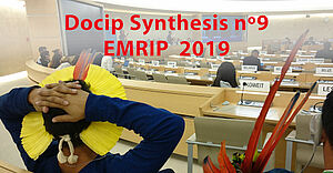 Photo: Docip Synthesis nº9 on the 12th session of the Expert Mechanism (EMRIP)