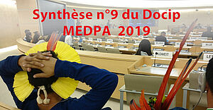 Photo: Synthèse n°9 du Docip sur la 12ème session du Mécanisme d’Experts (MEDPA)