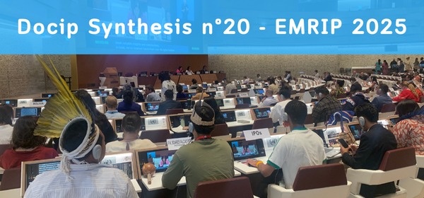 Click here to download the synthesis n°20 Online photo of the synthesis n°20