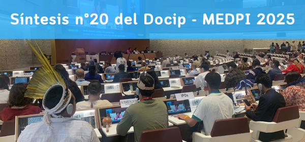 Foto en línea de la síntesis n°20