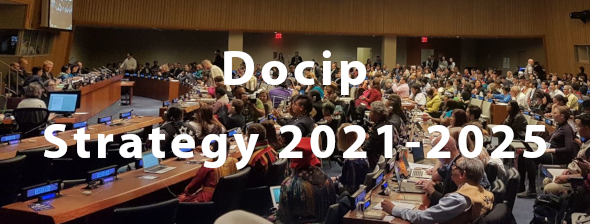 Photo: Docip Strategy 2021-2025
