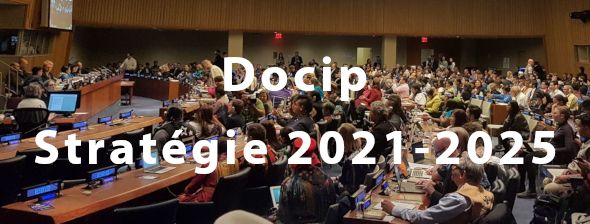 Photo: Docip Stratégie 2021-2025