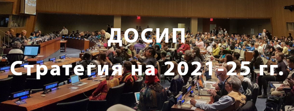 Photo: Стратегия ДОСИПа на 2021-25 гг.