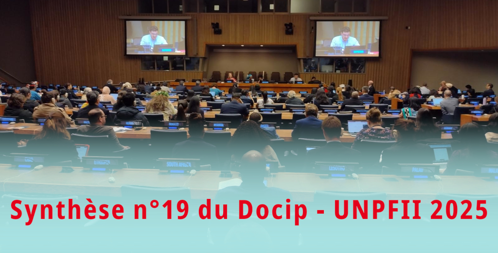 Cliquez ici pour télécharger la synthèse n°19 Photo en ligne de la synthèse n°19