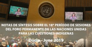 Photo: Nota de síntesis del Docip nº8 sobre el 18º período de sesiones del Foro Permanente (UNPFII)