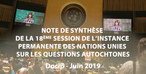 Photo: Synthèse nº8 du Docip sur la 18ème session de l Instance Permanente (UNPFII)