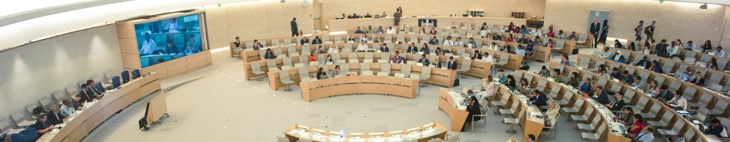 EMRIP: Information on the 16th session