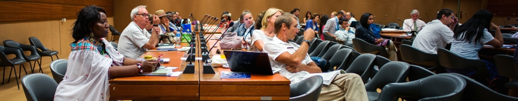 Otros procesos e instrumentos jurídicosLos pueblos indígenas pueden acceder a otros procesos que no hayan sido creados específicamente para ellos. A continuación presentamos algunos de ellos, a quienes el Docip ofrece apoyo estratégico.