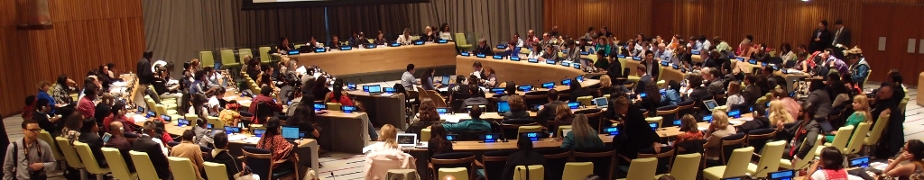 UNPFII: Information on the 22nd session